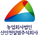 신안천일염